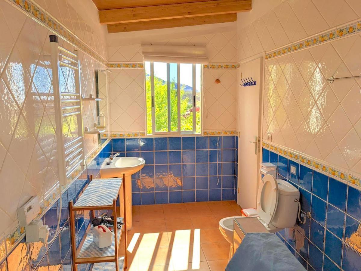 Casa Buena Vista Apartment Ла Оротава Екстериор снимка